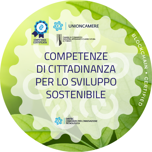 Badge pubblico 57107